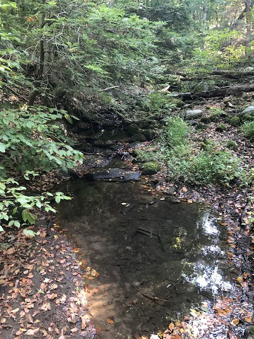 Glazier Preserve Picture 9