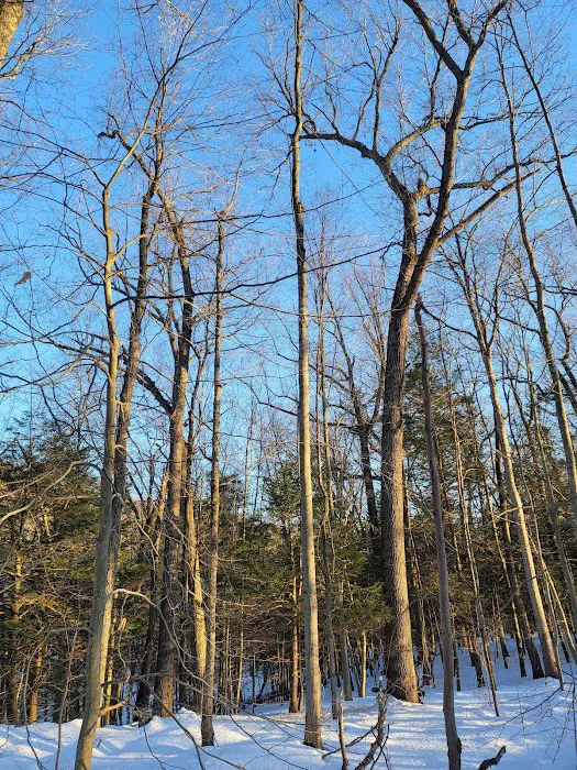 Whippoorwill Park Picture 9
