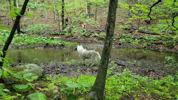 Whippoorwill Park Picture 5