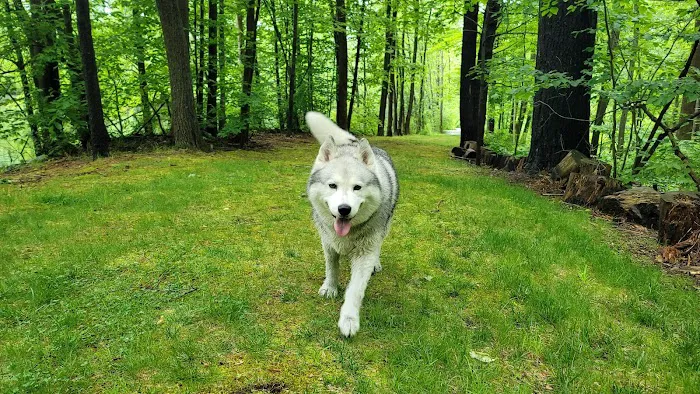 Whippoorwill Park Picture 2