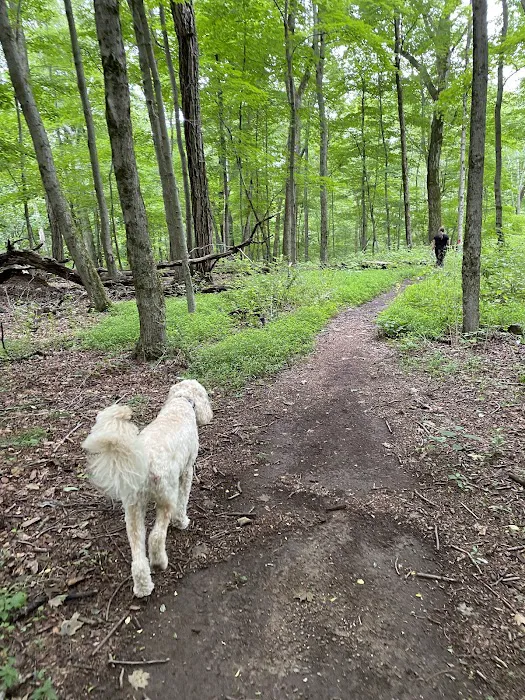 Whippoorwill Park Picture 8