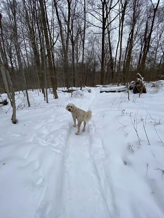 Whippoorwill Park Picture 6