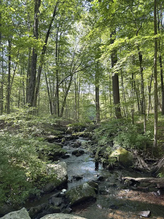 Whippoorwill Park Picture 10