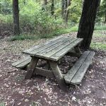 Whippoorwill Park
