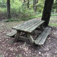 Whippoorwill Park ico