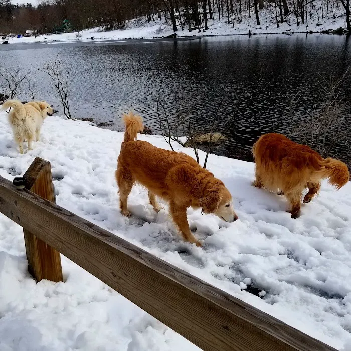 Gedney Park Picture 10