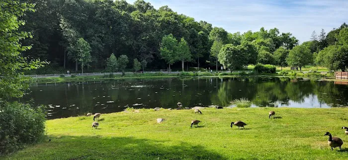 Gedney Park Picture 1