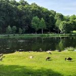 Gedney Park
