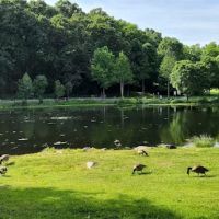Gedney Park ico