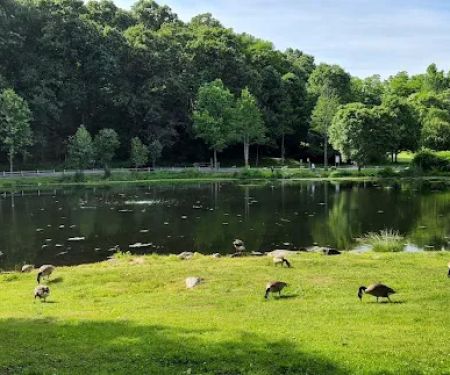 Gedney Park