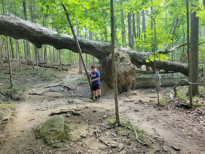 Gedney Park Picture 8