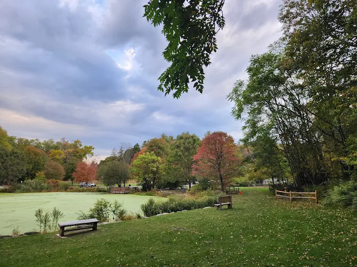 Gedney Park Picture 7