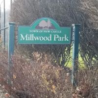 Millwood Park ico
