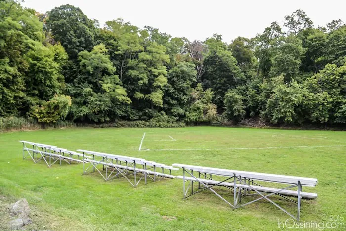 Snowden Park Picture 6