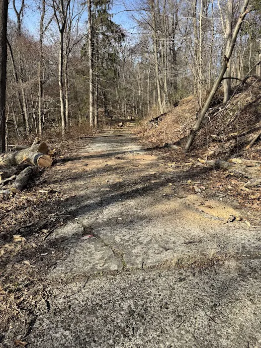Ossining Recreation & Parks Picture 6