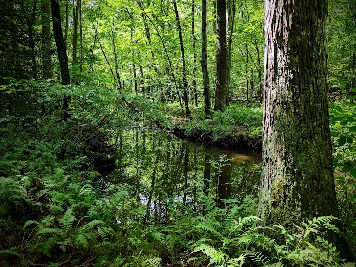 Babcock Preserve Picture 1