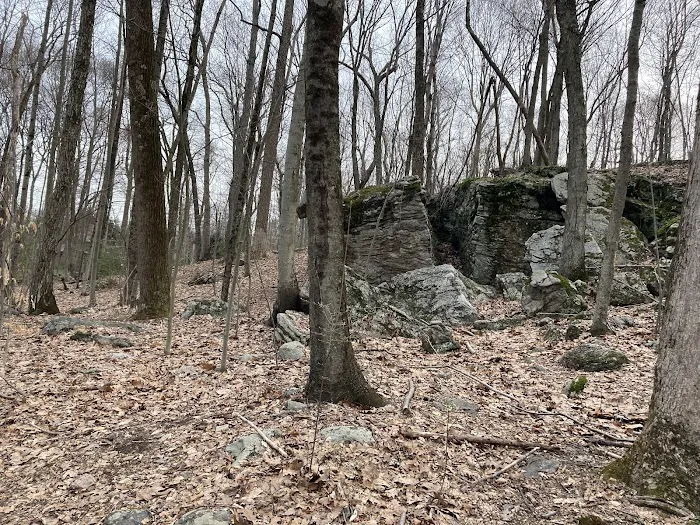 Babcock Preserve Picture 9
