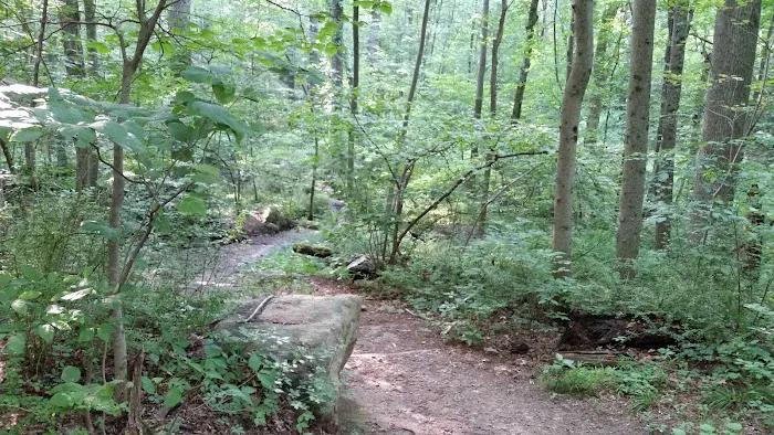 Babcock Preserve Picture 3