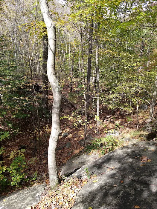 Babcock Preserve Picture 6