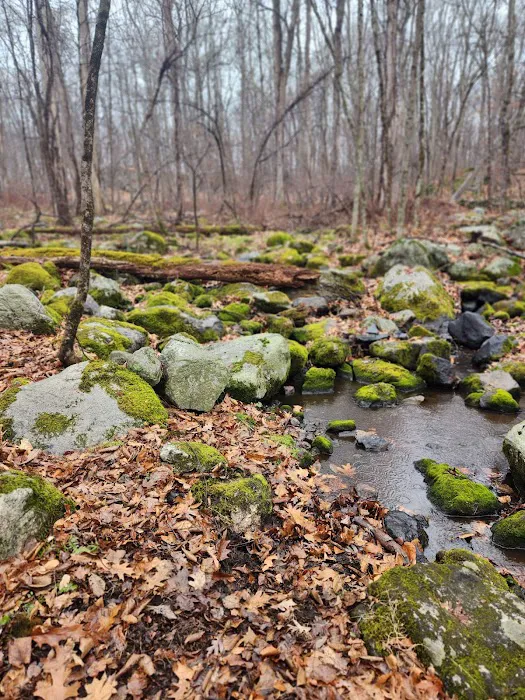 Mianus River State Park Scenic Reserve Picture 4