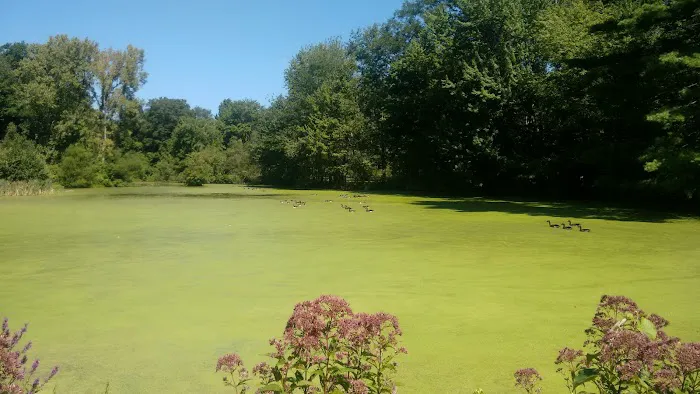 Mianus River State Park Scenic Reserve Picture 10