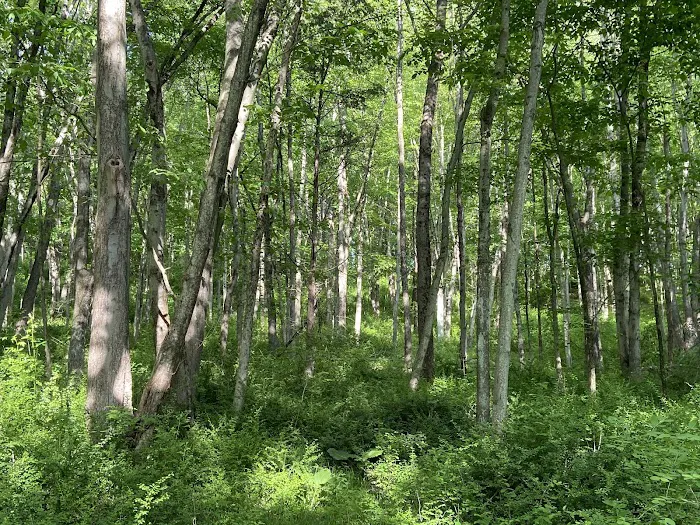 Burden Preserve Picture 9