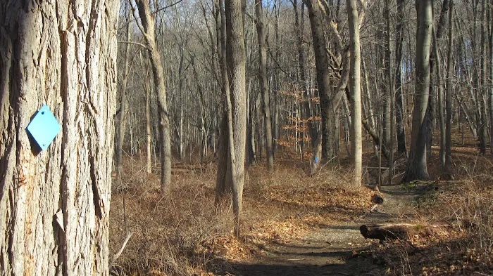 Burden Preserve Picture 6