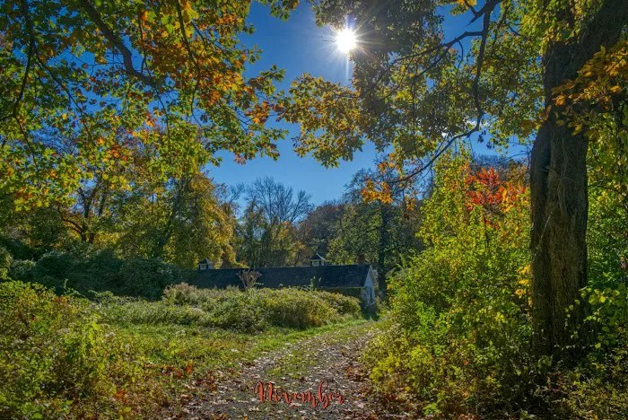 Merestead Picture 5