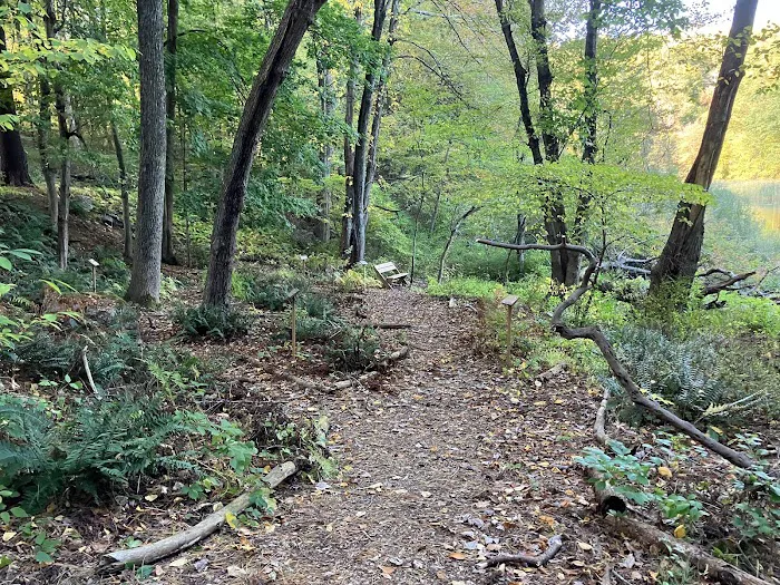 Westmoreland Sanctuary Picture 2
