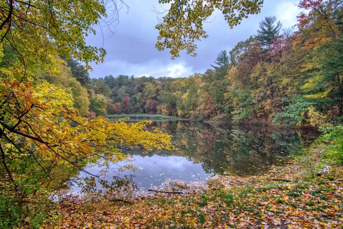 Westmoreland Sanctuary Picture 1
