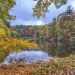 Westmoreland Sanctuary
