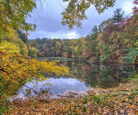 Westmoreland Sanctuary