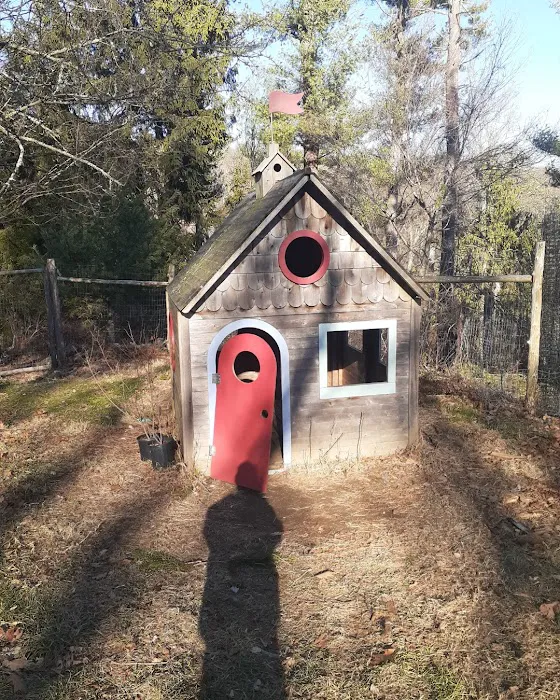 Westmoreland Sanctuary Picture 8