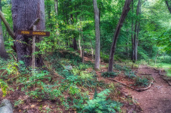 Westmoreland Sanctuary Picture 5