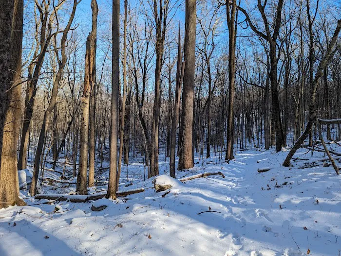 Westmoreland Sanctuary Picture 9