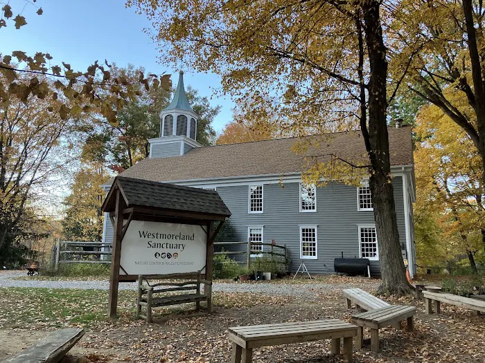 Westmoreland Sanctuary Picture 6
