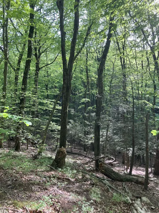 Arthur W. Butler Memorial Sanctuary Picture 6