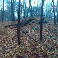 Arthur W. Butler Memorial Sanctuary (Parking Area/Entrance) ico
