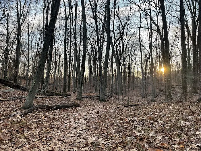 Raptor Ridge Picture 1