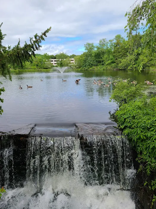 Leonard Park Picture 3
