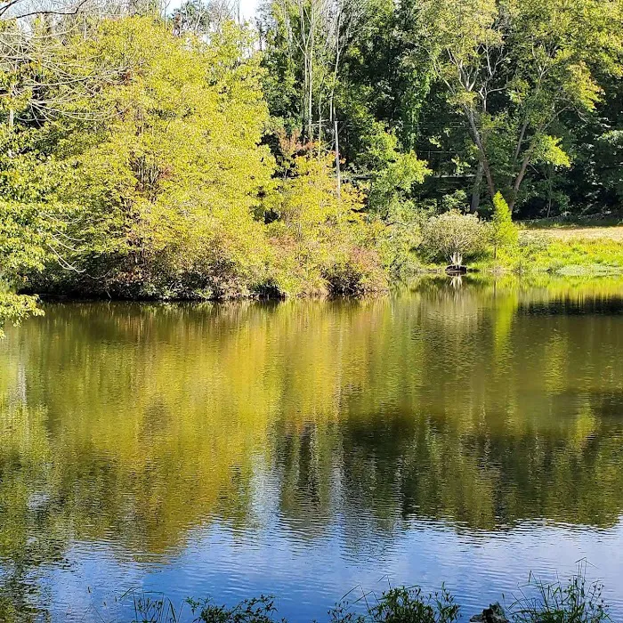 Marsh Sanctuary Picture 7