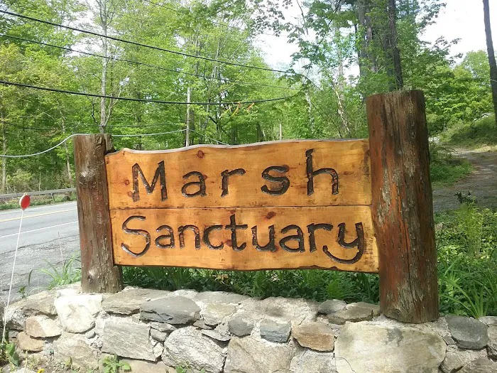 Marsh Sanctuary Picture 6