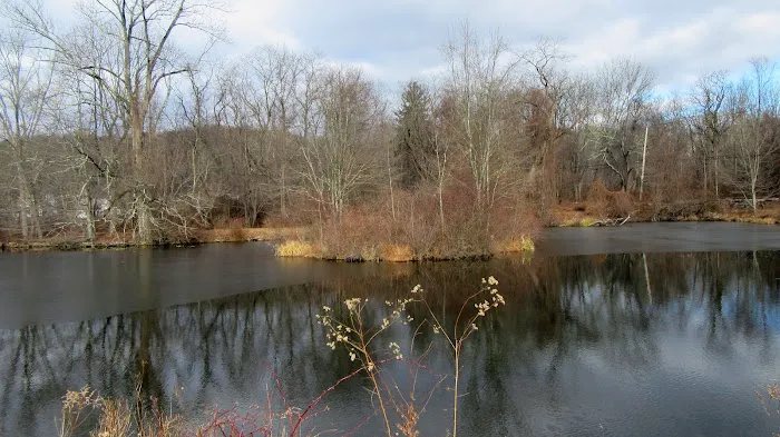 Marsh Sanctuary Picture 1
