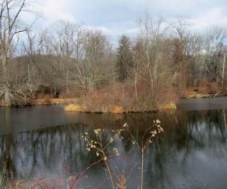 Marsh Sanctuary