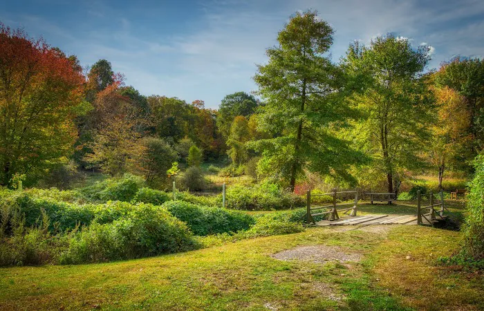 Marsh Sanctuary Picture 3