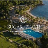 Viceroy ico