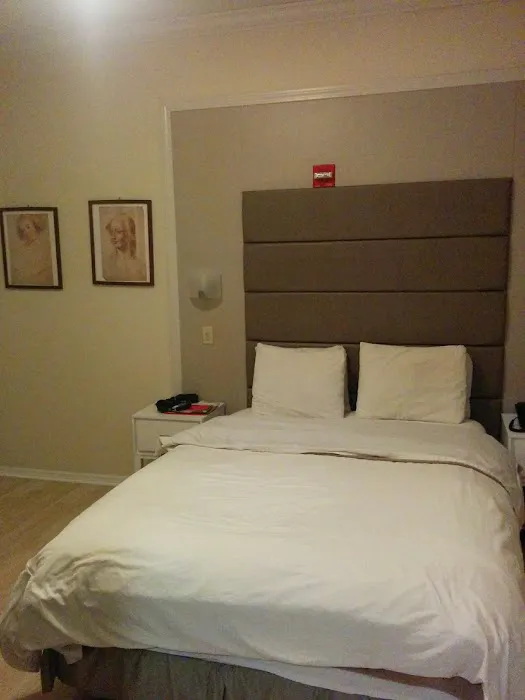 Da Vinci Hotel Picture 6