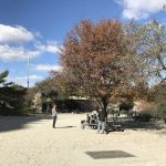 West 72nd Street Dog Run