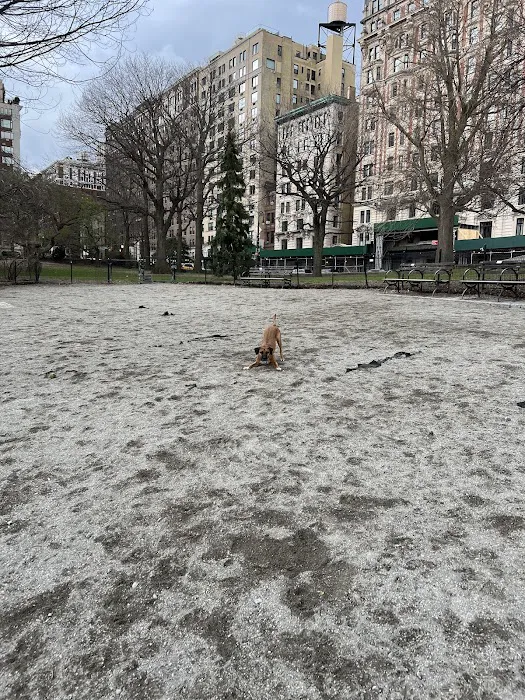 West 72nd Street Dog Run Picture 9