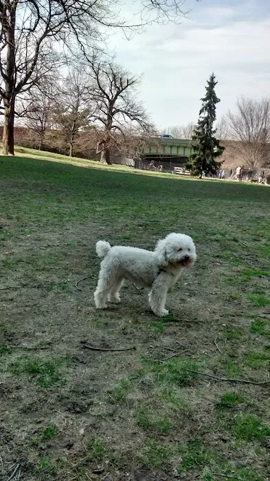 West 72nd Street Dog Run Picture 3